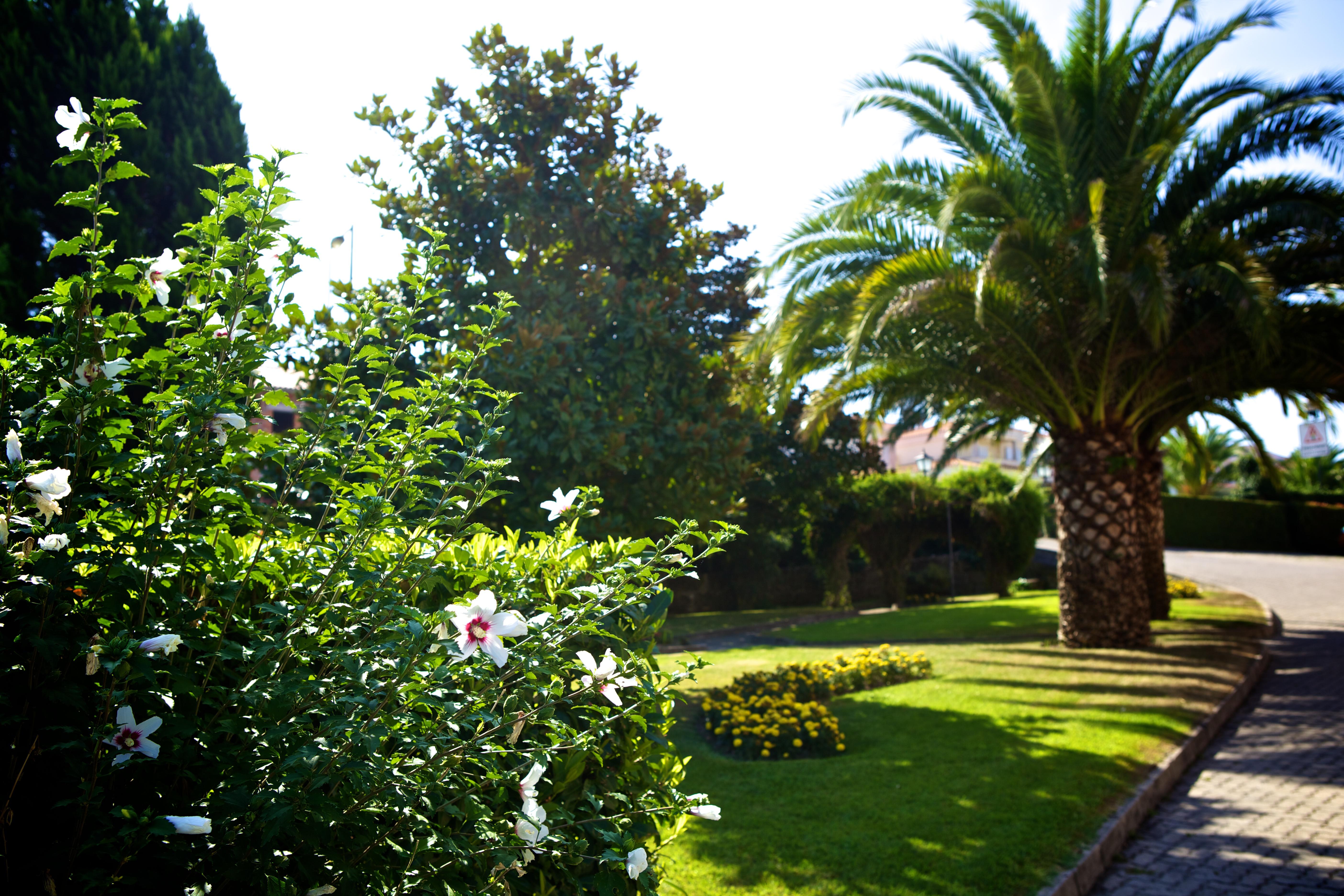 Hotel SJ Tondela Buitenkant foto