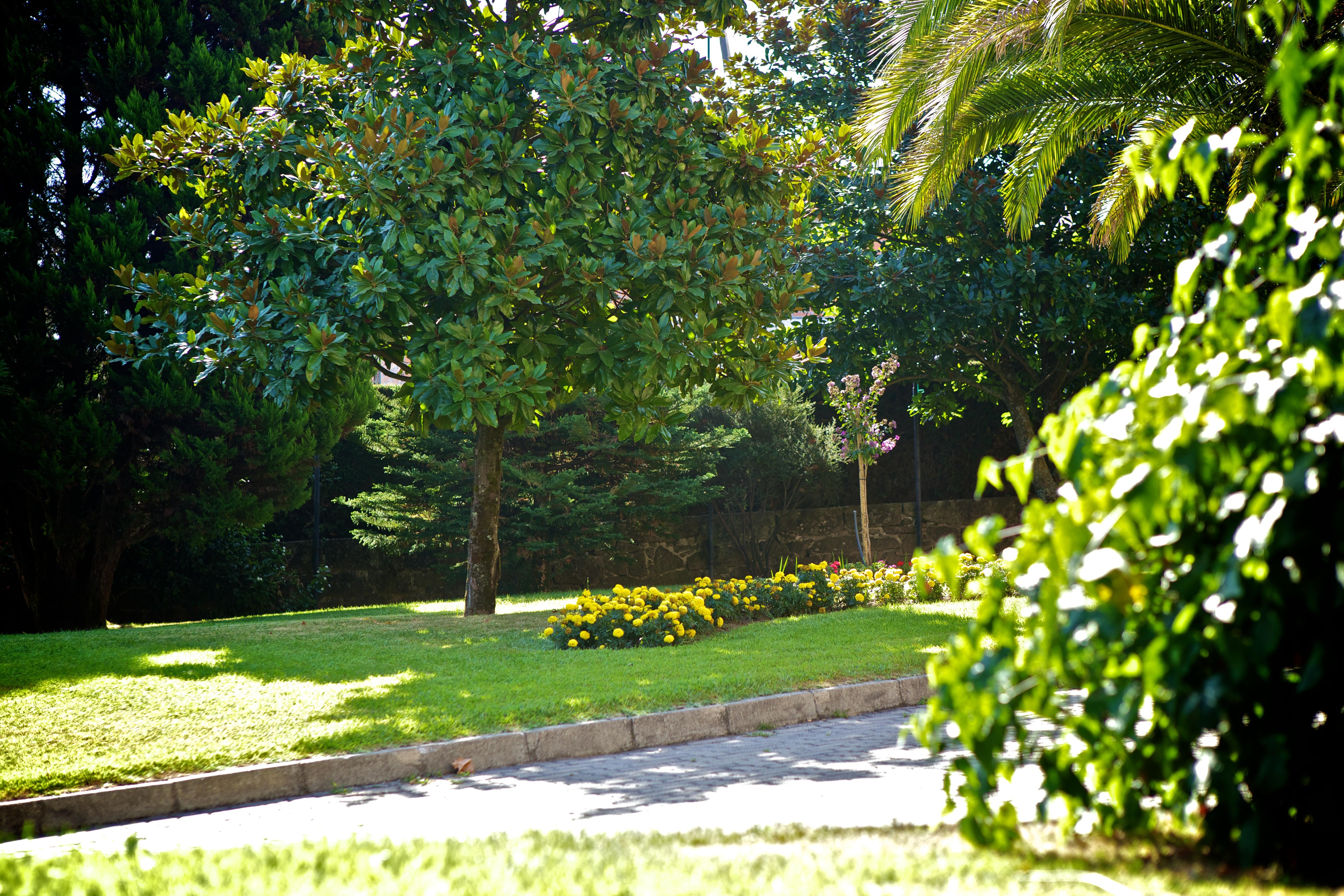 Hotel SJ Tondela Buitenkant foto